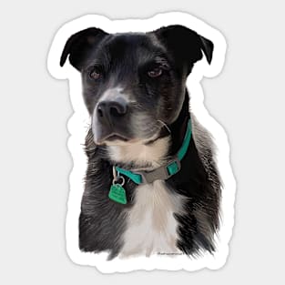 Roxy, Beloved Pet Sticker